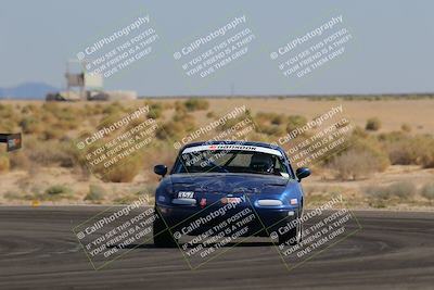 media/Oct-14-2023-Lucky Dog Racing (Sat) [[cef75db616]]/2nd Stint Turn 16/